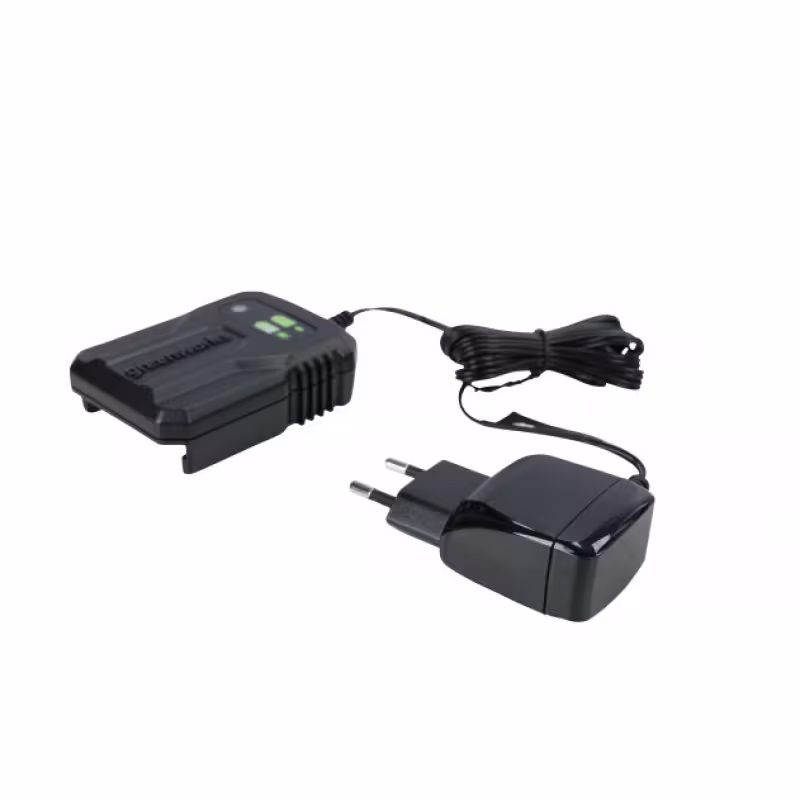 Электропила-сучкорез аккумуляторная Greenworks G24MCS10