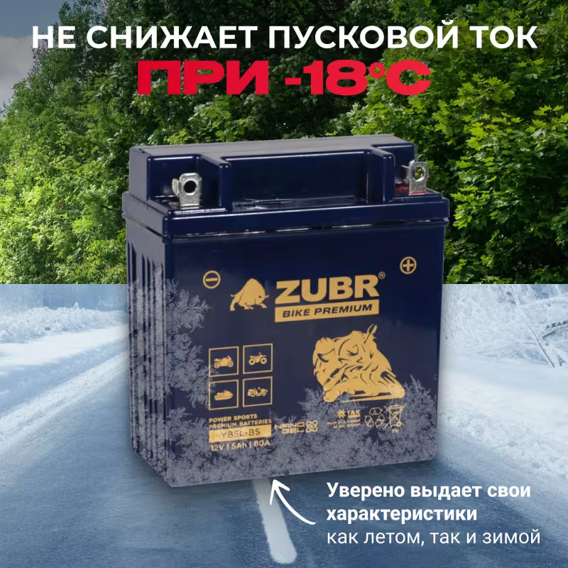 Аккумулятор Zubr Premium YB5L-BS, 5 Ач, 12В