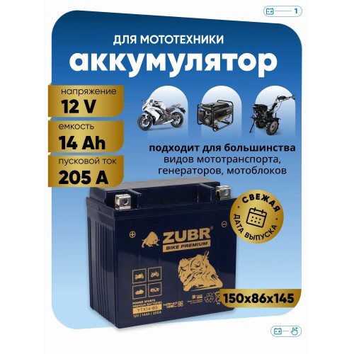 Аккумулятор Zubr Premium YTX14-BS, 12В, 14 Ач