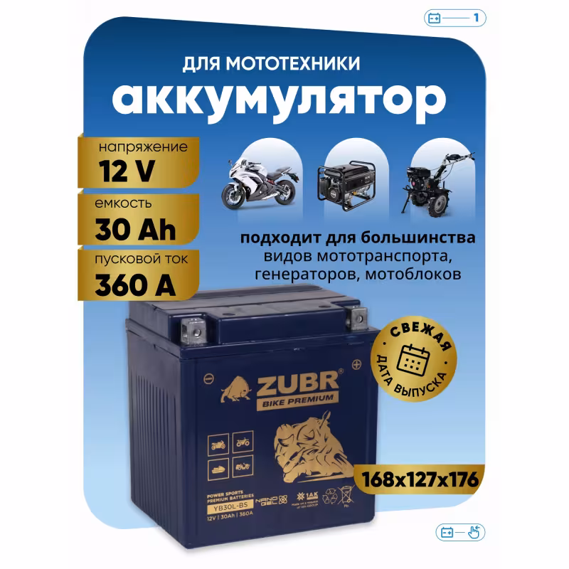 Аккумулятор Zubr Premium YTX30L-BS, 30 Ач, 12В