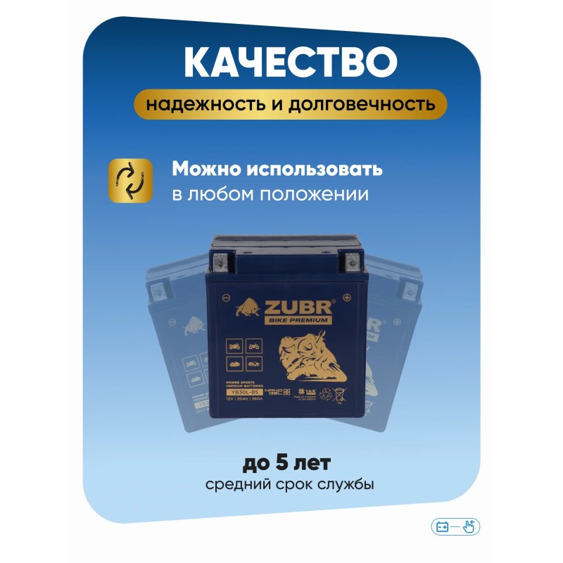 Аккумулятор Zubr Premium YTX30L-BS, 30 Ач, 12В