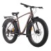 Велосипед Fat Bike Tech Team Flex disc 26