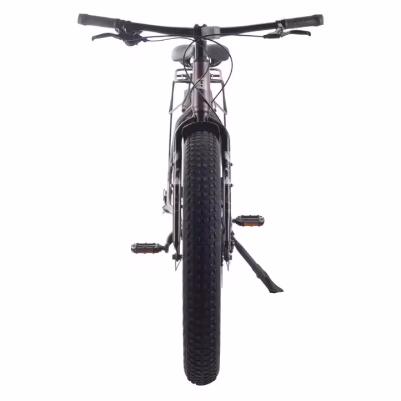 Велосипед Fat Bike Tech Team Flex disc 26
