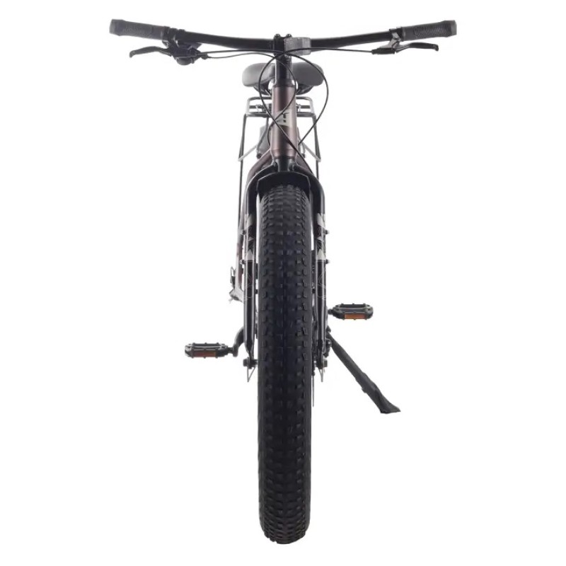 Велосипед Fat Bike Tech Team Flex disc 26