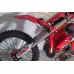 Мотоцикл эндуро BSE Т9 Red Arrow