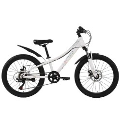 Велосипед Tech Team Spectra disc 20