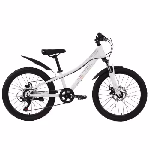 Велосипед Tech Team Spectra disc 20