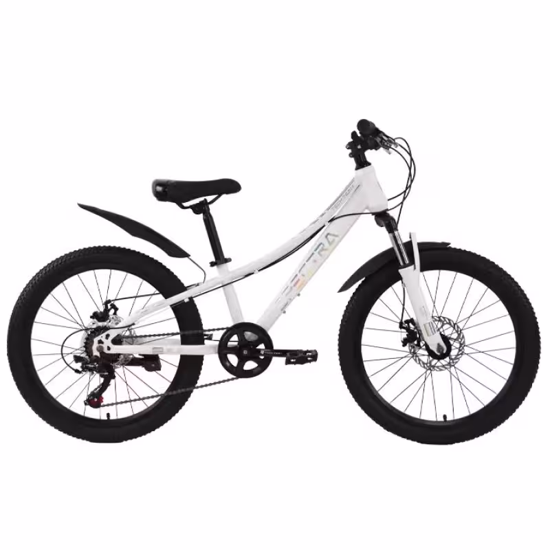 Велосипед Tech Team Spectra disc 20