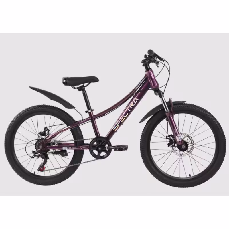 Велосипед Tech Team Spectra disc 20