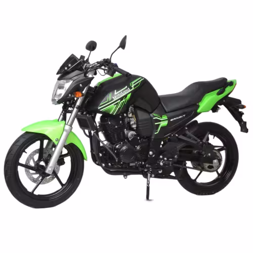 Мотоцикл дорожный Motoland Bandit 300, зеленый