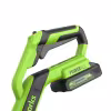 Триммер аккумуляторный Greenworks G24LT301