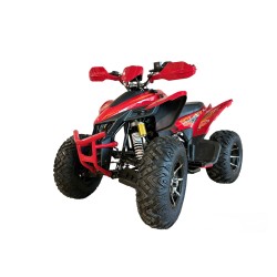 Комплект запчастей для сборки квадроцикла Yacota Typhoon 250 LD, красный