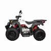 Квадроцикл Kayo AU150 CVT, белый