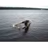 Лодка алюминиевая Wellboat 46