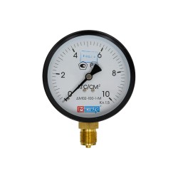 Манометр Метер ДМ 02-100-1-М