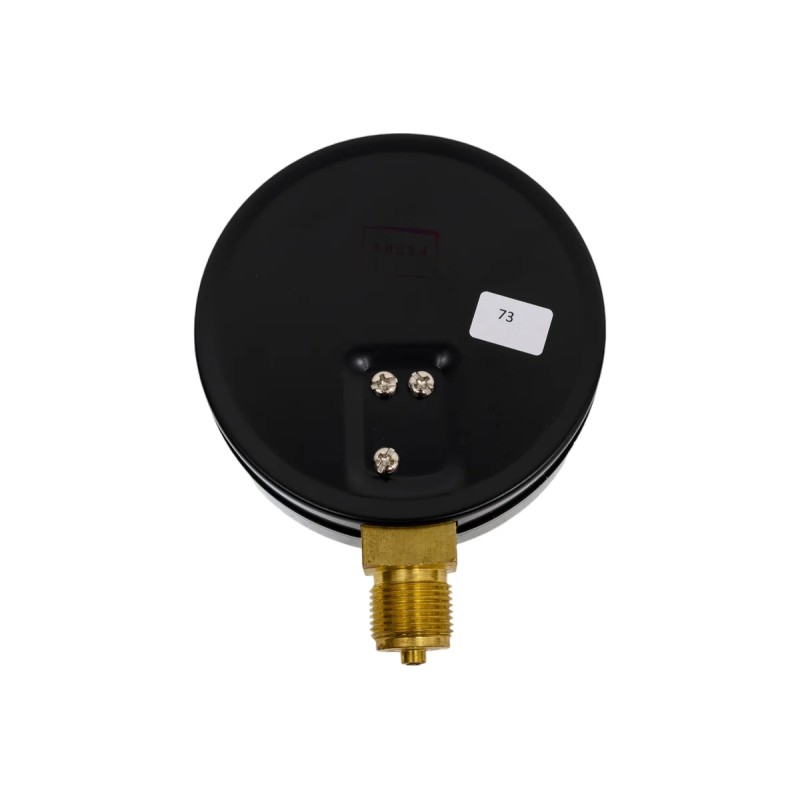 Манометр Метер ДМ 02-100-1-М