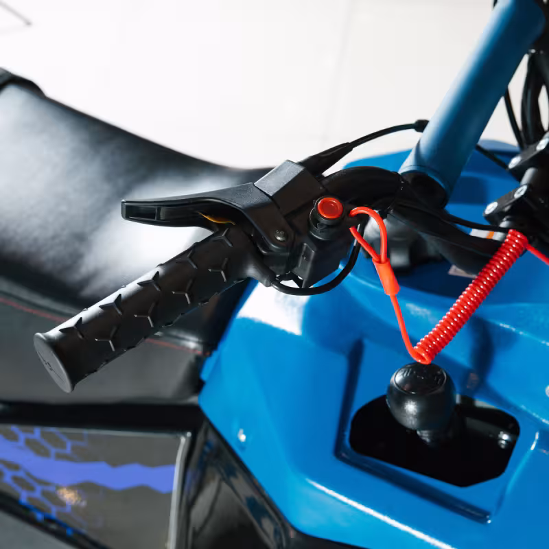 Снегоход Irbis Tungus SK600L, синий