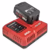 Комплект Skil из аккумулятора BY5196 и зарядного устройства QC5360 (Li-Ion, 20В, 4Ач)