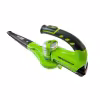 Воздуходувка аккумуляторная Greenworks G24BL
