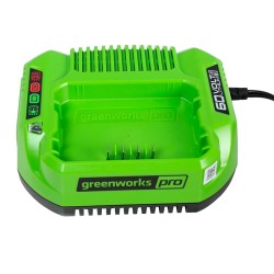 Зарядное устройство Greenworks 2932007, 60В, 2А
