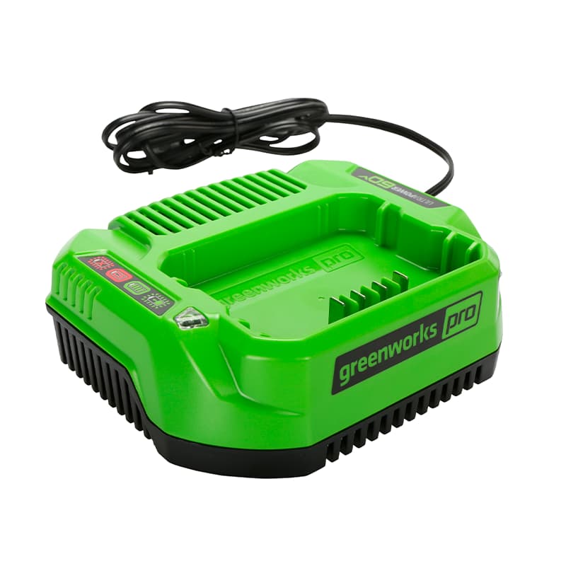 Зарядное устройство Greenworks 2932007, 60В, 2А