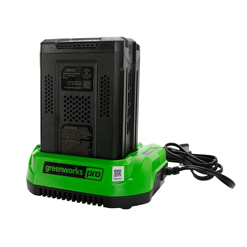 Зарядное устройство Greenworks 2932007, 60В, 2А